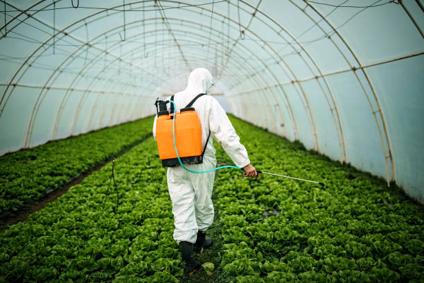 Best Pest Removal Services  in Churchill, PA