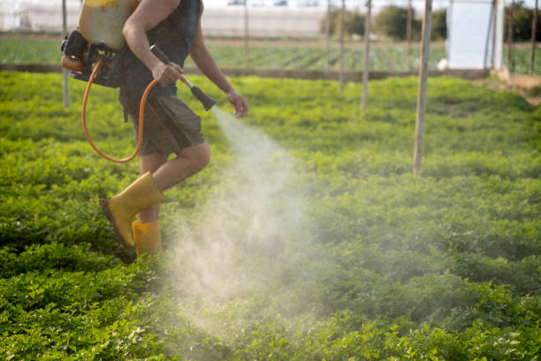 Reliable Churchill, PA Pest Control Solutions