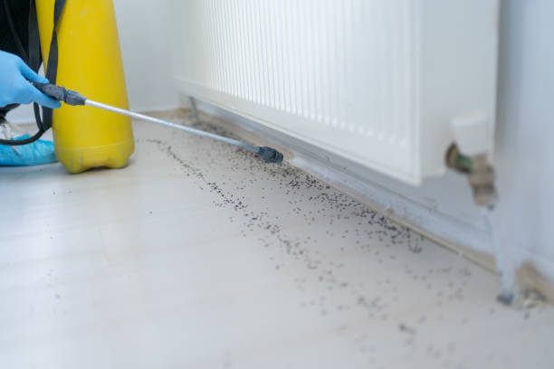 Best Commercial Pest Control Services  in Churchill, PA