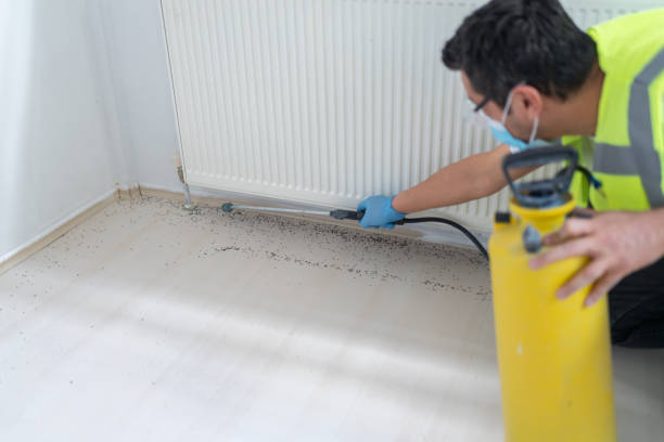 Best Flea Control Services  in Churchill, PA